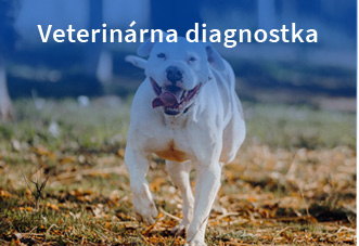 <br>
Veterinárna diagnostka